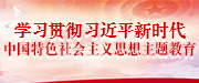 学习贯彻习近平新时代中国特色社会主义思想主题教育